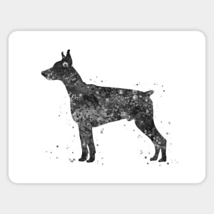 doberman pinscher dog black and white art Sticker